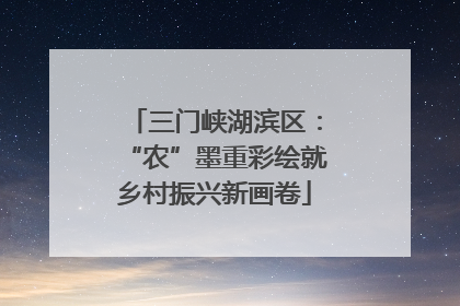 三门峡湖滨区：“农”墨重彩绘就乡村振兴新画卷