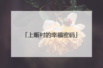 上畈村的幸福密码