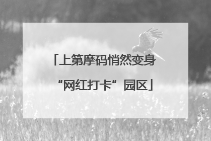 上第摩码悄然变身“网红打卡”园区