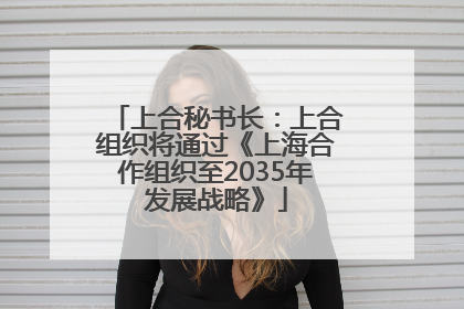 上合秘书长：上合组织将通过《上海合作组织至2035年发展战略》
