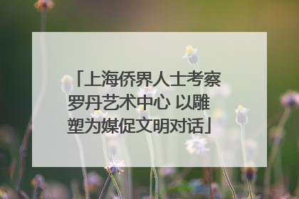 上海侨界人士考察罗丹艺术中心 以雕塑为媒促文明对话