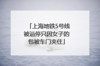 上海地铁5号线被逼停只因女子的包被车门夹住