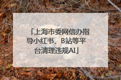 上海市委网信办指导小红书、B站等平台清理违规AI