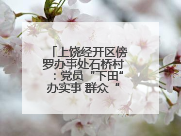 上饶经开区傍罗办事处石桥村：党员“下田”办实事 群众“点赞”笑开颜