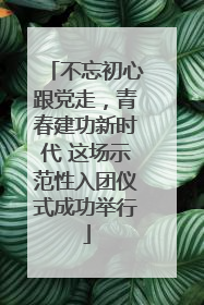 不忘初心跟党走，青春建功新时代 这场示范性入团仪式成功举行