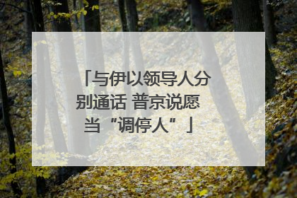 与伊以领导人分别通话 普京说愿当“调停人”