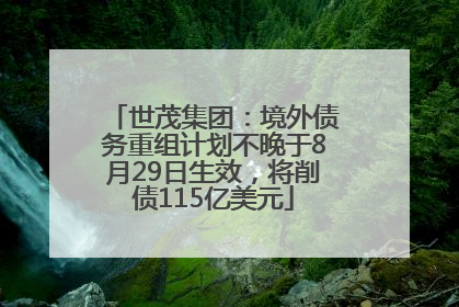 世茂集团：境外债务重组计划不晚于8月29日生效，将削债115亿美元