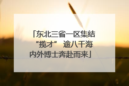 东北三省一区集结“揽才” 逾八千海内外博士奔赴而来