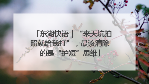 东湖快语｜“来天坑拍照就给我打”，最该清除的是“护短”思维