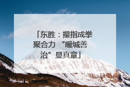 东胜：攥指成拳聚合力 “暖城善治”显真章