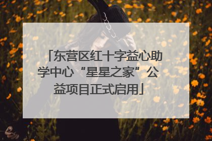 东营区红十字益心助学中心“星星之家”公益项目正式启用