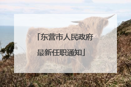 东营市人民政府最新任职通知