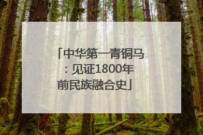 中华第一青铜马：见证1800年前民族融合史