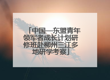 中国—东盟青年领军者成长计划研修班赴柳州三江多地研学考察