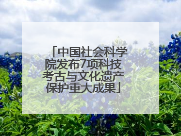 中国社会科学院发布7项科技考古与文化遗产保护重大成果