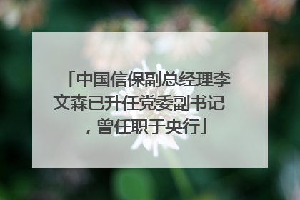 中国信保副总经理李文森已升任党委副书记，曾任职于央行
