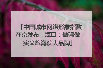 中国城市网络形象指数在京发布，海口：做强做实文旅海滨大品牌