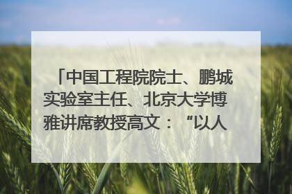中国工程院院士、鹏城实验室主任、北京大学博雅讲席教授高文：“以人为本 智能向善” 推动文化与科技相生相促｜聚焦2025文化强国建设高峰论坛