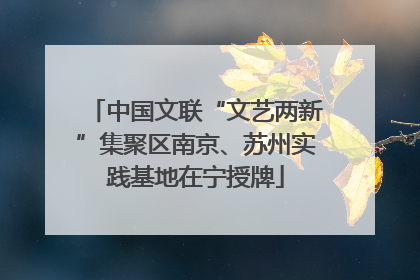 中国文联“文艺两新”集聚区南京、苏州实践基地在宁授牌