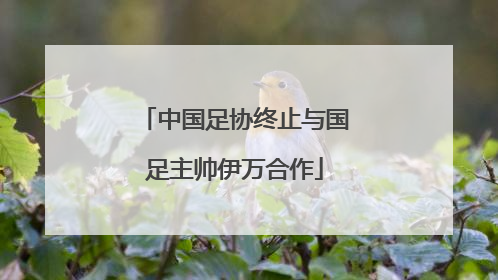 中国足协终止与国足主帅伊万合作