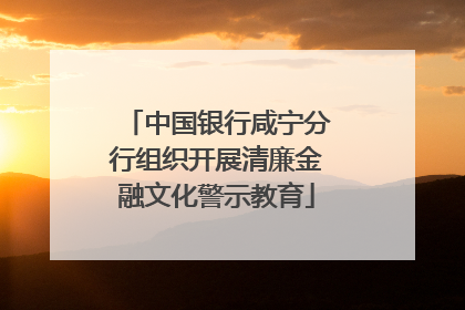 中国银行咸宁分行组织开展清廉金融文化警示教育