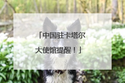 中国驻卡塔尔大使馆提醒！