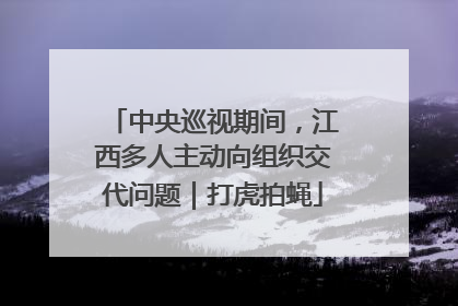 中央巡视期间，江西多人主动向组织交代问题｜打虎拍蝇