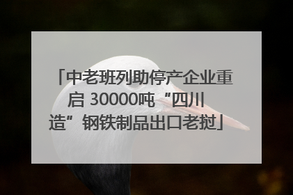 中老班列助停产企业重启 30000吨“四川造”钢铁制品出口老挝