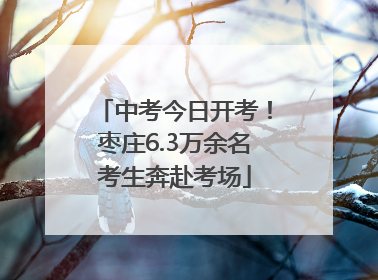 中考今日开考！枣庄6.3万余名考生奔赴考场