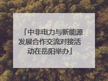中非电力与新能源发展合作交流对接活动在岳阳举办