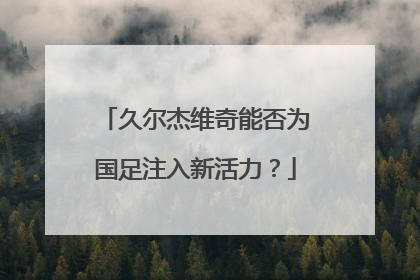 久尔杰维奇能否为国足注入新活力？