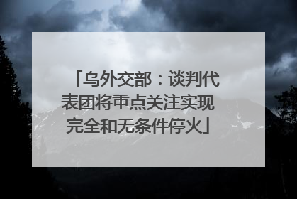 乌外交部：谈判代表团将重点关注实现完全和无条件停火
