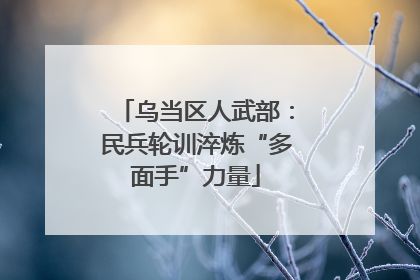 乌当区人武部：民兵轮训淬炼“多面手”力量