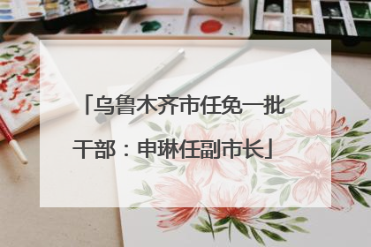 乌鲁木齐市任免一批干部：申琳任副市长