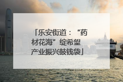 乐安街道：“药材花海”绽希望 产业振兴鼓钱袋