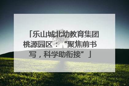 乐山城北幼教育集团桃源园区：“聚焦前书写，科学助衔接”