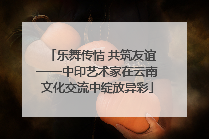 乐舞传情 共筑友谊——中印艺术家在云南文化交流中绽放异彩