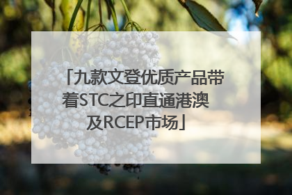 九款文登优质产品带着STC之印直通港澳及RCEP市场