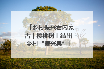 乡村振兴看内蒙古｜樱桃树上结出乡村“振兴果”