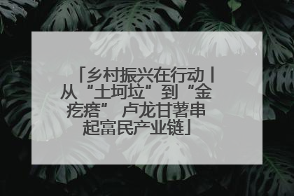 乡村振兴在行动丨从“土坷垃”到“金疙瘩” 卢龙甘薯串起富民产业链