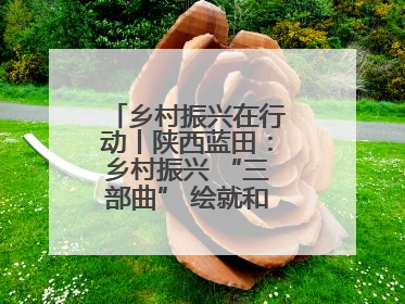 乡村振兴在行动丨陕西蓝田：乡村振兴 “三部曲” 绘就和美乡村新画卷