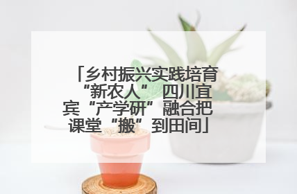 乡村振兴实践培育“新农人” 四川宜宾“产学研”融合把课堂“搬”到田间