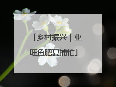 乡村振兴｜业旺鱼肥夏捕忙