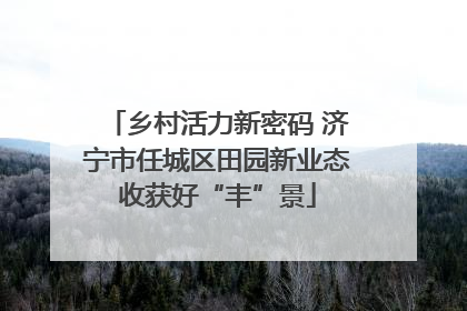 乡村活力新密码 济宁市任城区田园新业态收获好“丰”景