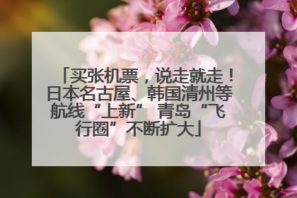 买张机票，说走就走！日本名古屋、韩国清州等航线“上新” 青岛“飞行圈”不断扩大