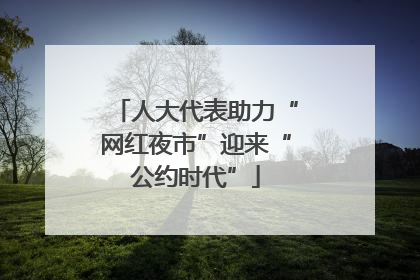 人大代表助力“网红夜市”迎来“公约时代”