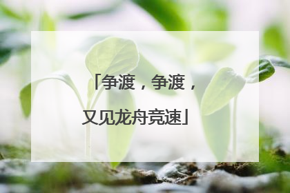 争渡，争渡，又见龙舟竞速