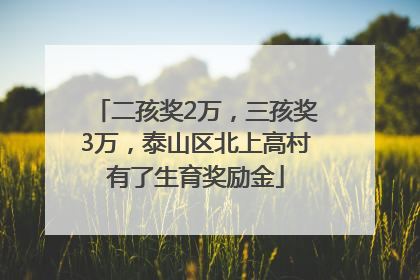 二孩奖2万，三孩奖3万，泰山区北上高村有了生育奖励金