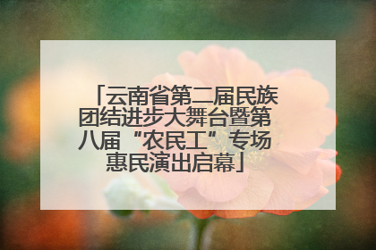 云南省第二届民族团结进步大舞台暨第八届“农民工”专场惠民演出启幕