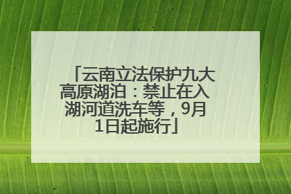 云南立法保护九大高原湖泊：禁止在入湖河道洗车等，9月1日起施行